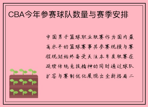 CBA今年参赛球队数量与赛季安排